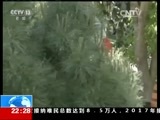 国际时讯 《国际时讯》 20150921