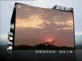 动物世界 动物世界 2011年 第66期