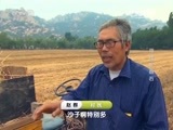 地理中国 《地理中国》 20160405 奇物迷象·寻找祝融石