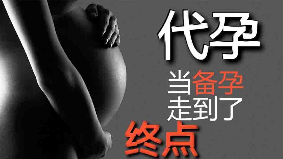 全民宝贝计划第五季 代孕，当备孕走到了终点！