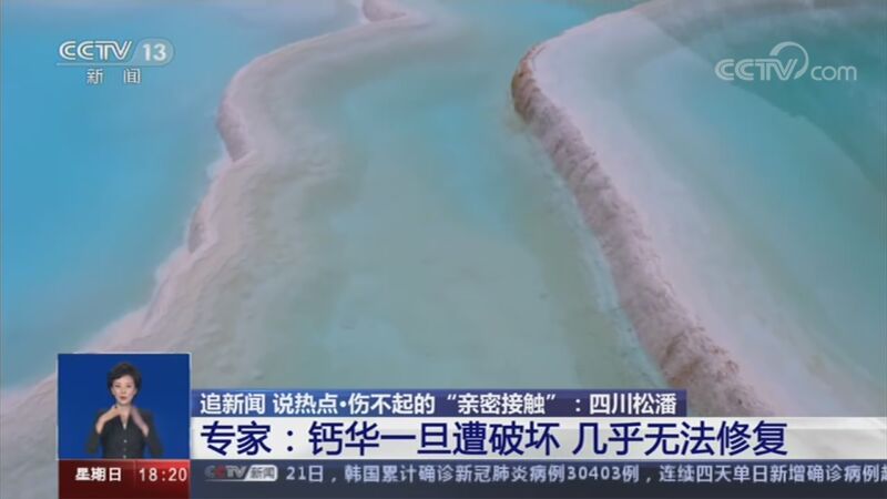共同关注 《共同关注》 20201122