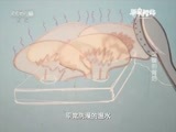 原来如此 《原来如此》 20151115 温暖的背后