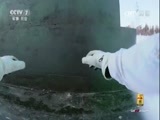 谁是终极英雄 《谁是终极英雄》 20170108 雪域血狼 第三集