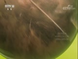 自然传奇 《自然传奇》 20170923 奇怪的大鱼