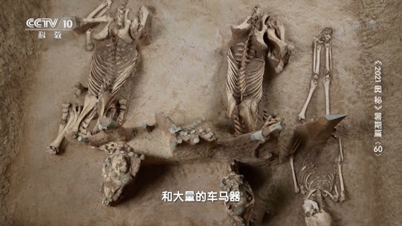 《2021奥秘》 20210913 暑期篇（60）