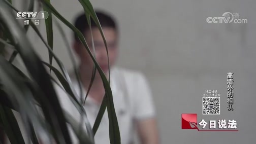 今日说法 《今日说法》 20190708 高墙外的相认