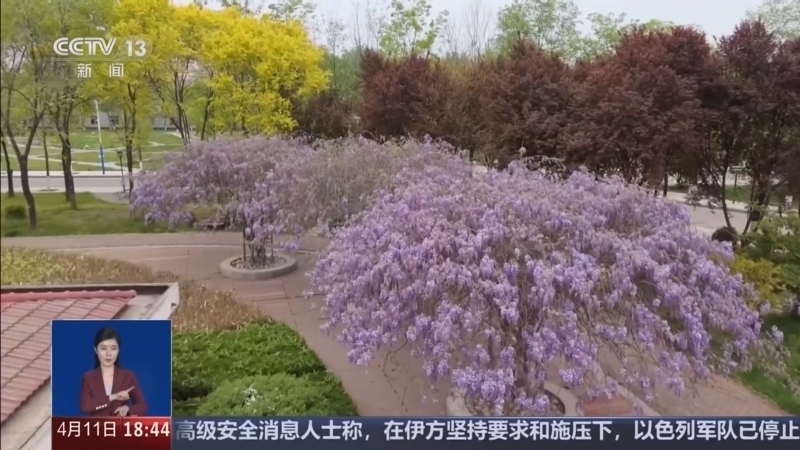 《共同关注》 20260411