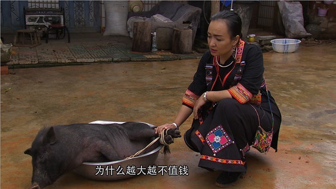 致富经 [致富经]好强媳妇 大盆里装回600万 20180702