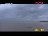 远方的家 《边疆行》第65集 塔河边的传奇《远方的家》20111007