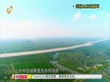 《调查-山东》 20180529 美丽山东新篇章