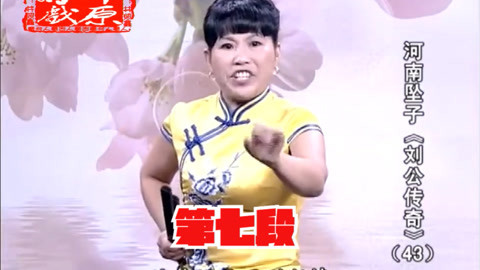 河南坠子 河南坠子《刘公传奇》