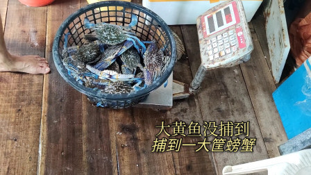 南澳岛赶海日记 彪哥在近海捕大黄鱼，没想到把网放到螃蟹窝去了，收获一大筐螃蟹