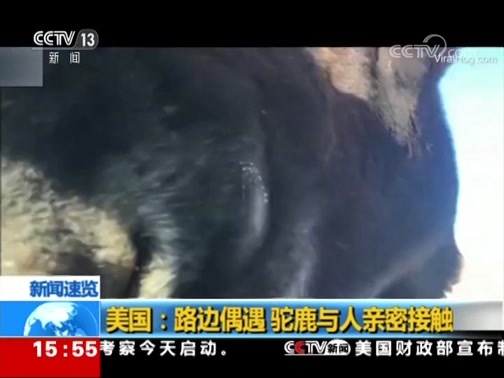新闻直播间 《新闻直播间》 20181221 15:00