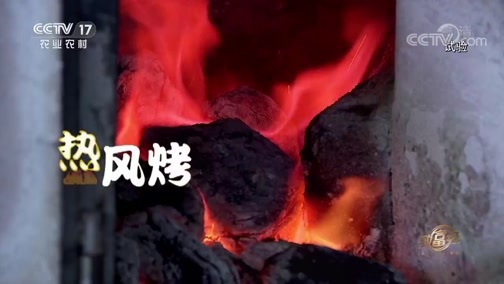 致富经 《致富经》 20190903 他让十里荒岭飘椒香