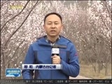 晚间报道 《晚间报道-内蒙古》 20170412