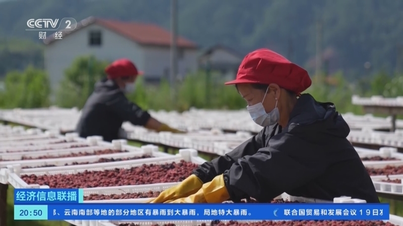 经济信息联播 《经济信息联播》 20250620