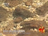 远方的家 《远方的家》江河万里行 第269集 钱塘江 一江清水出开化 20150528