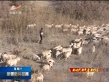新疆新闻联播 《新疆新闻联播》 20180103