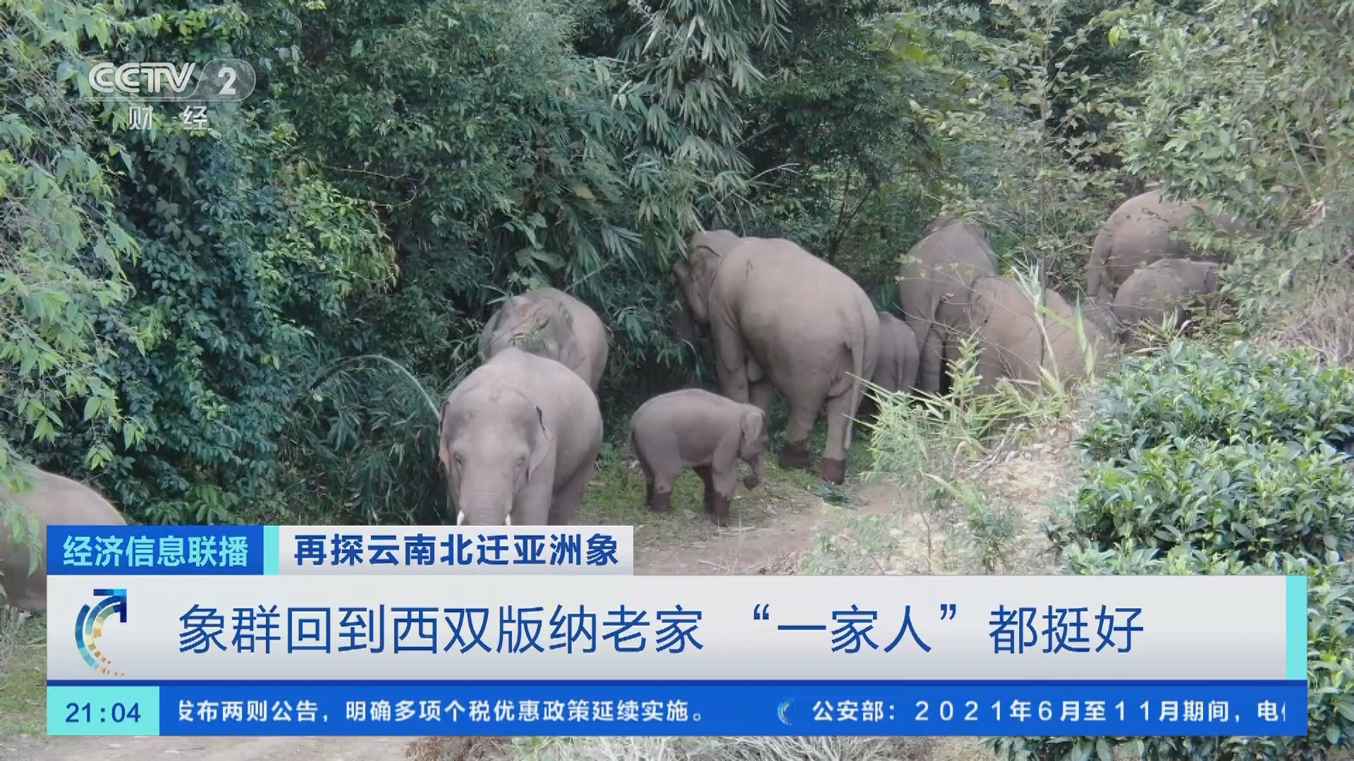 经济信息联播 《经济信息联播》 20220101