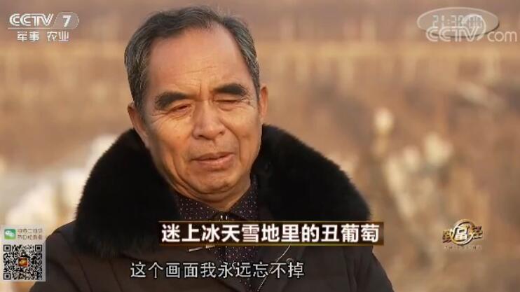 致富经 [致富经]迷上冰天雪地里的丑葡萄 20180308