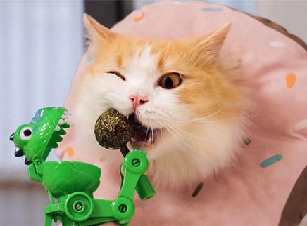 销量最高逗猫玩具