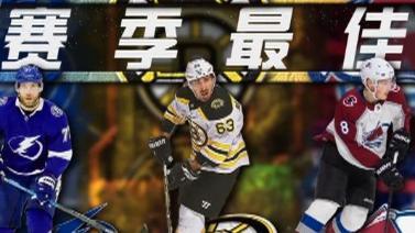 [冰球冰球]20210521 赛季最佳