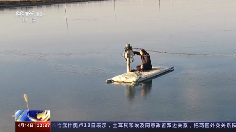 法治在线 《法治在线》 20230414