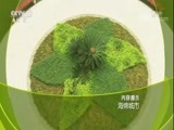 走近科学 《走近科学》 20171122 海绵城市