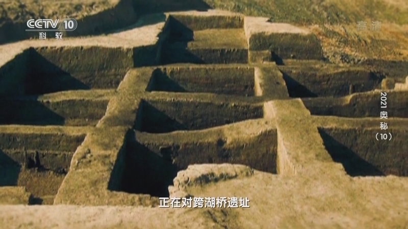 《2021奥秘》 20210118 （10）
