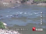 今日说法 《今日说法》 20170926 独山桥上寻真相