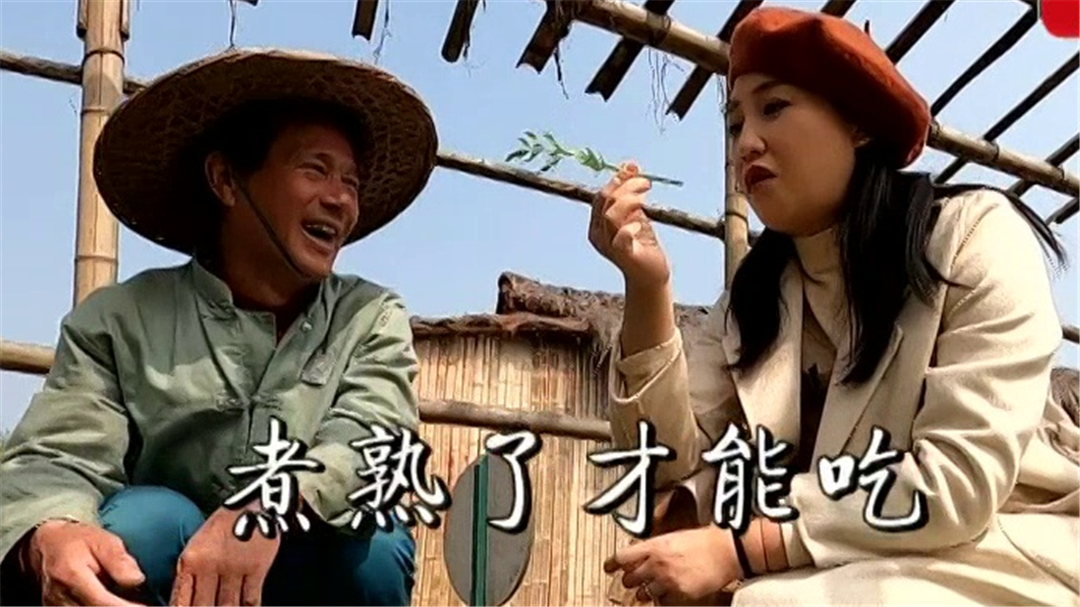 小长假攻略 西溪湿地冷门线路