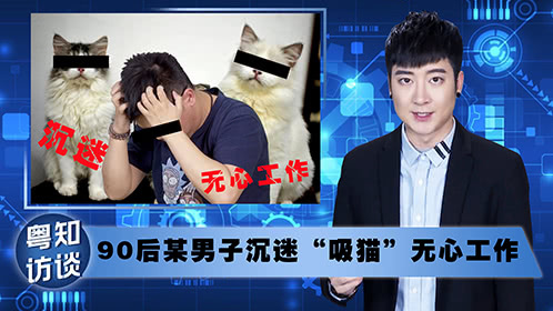 粤知一二 沉迷吸猫的人，注定单身一辈子！