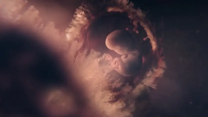 《怀胎九月》第2集