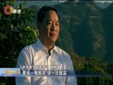 重庆新闻联播 《重庆新闻联播》 20170916