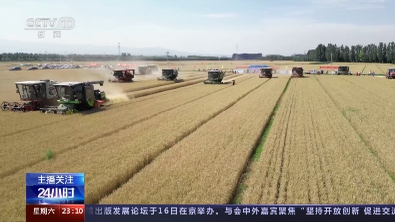 24小时 《24小时》 20230617