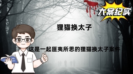 刑侦大案： 狸猫换太子 这是一起匪夷所思的狸猫换太子案件