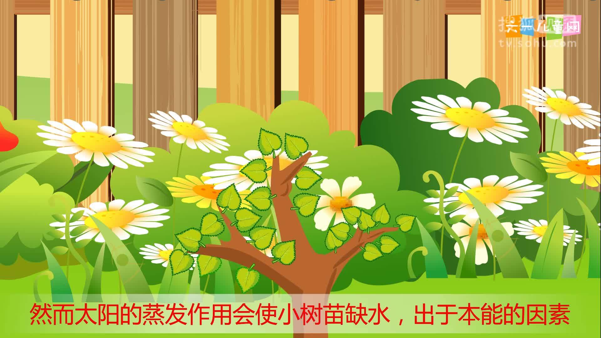 嘟拉十万个为什么 嘟拉十万个为什么 199为什么树会长高？