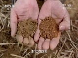 地理中国 《地理中国》 20170919 奇石怪象·金乌神石（下）