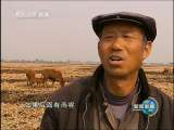 新闻联播 新闻联播 2010-03-27 19:00