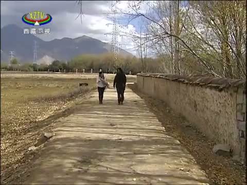 西藏新闻联播 《西藏新闻联播》 20141031