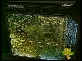 新闻袋袋裤 新闻袋袋裤 2008年 第331期