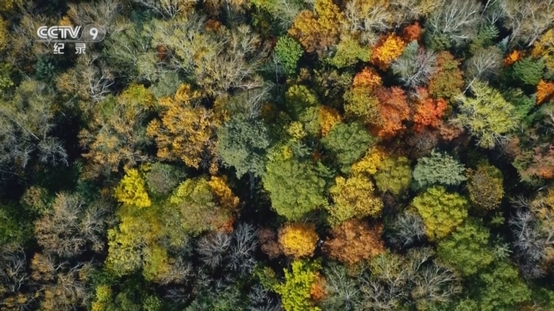 《国家公园 小小世界》 第5集