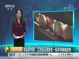 中国财经报道 《中国财经报道》 20180820 15:00