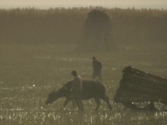 战神的怒吼第3集