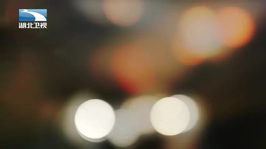 《东北王张作霖》第1集