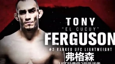 UFC终极格斗冠军赛 UFC238赛胡多冲击双冠王，“夜魔”复出战牛仔