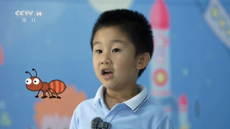 《小小智慧树》 20251223