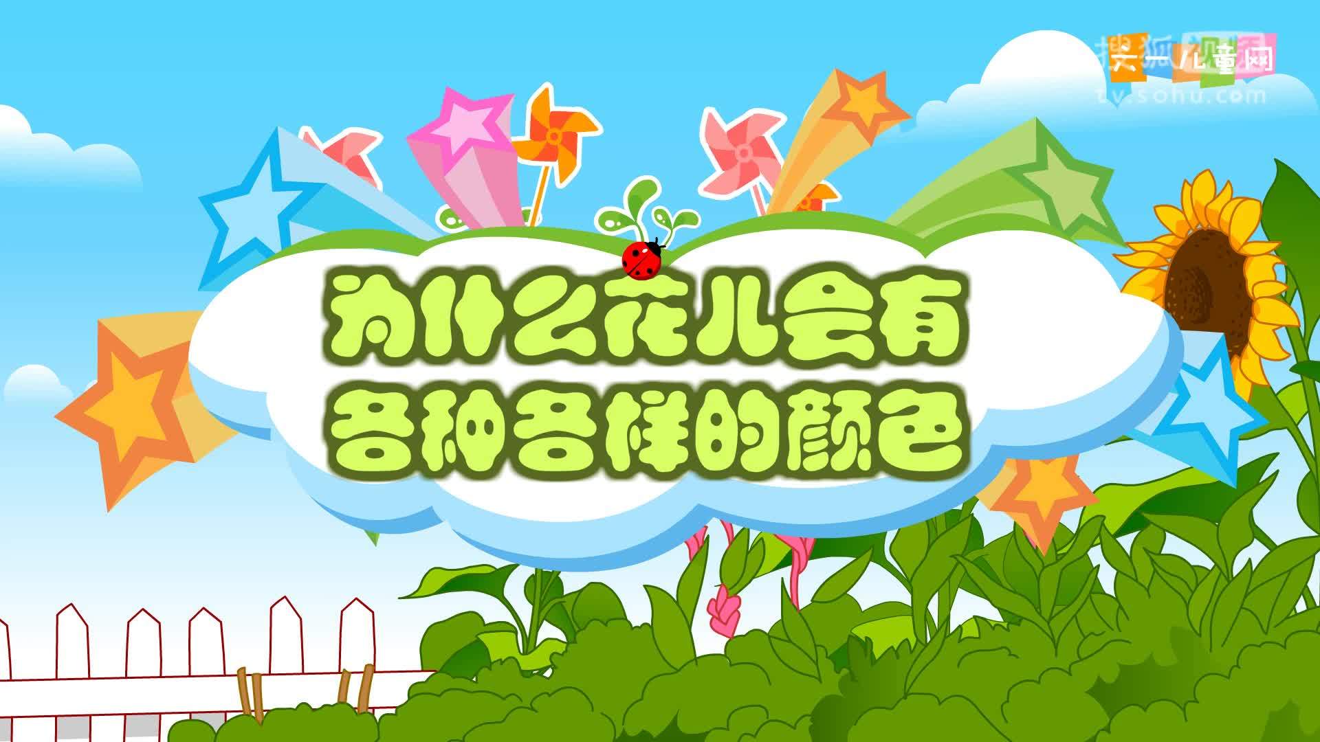 嘟拉十万个为什么 嘟拉十万个为什么 204为什么花儿会有各种各样的颜色？
