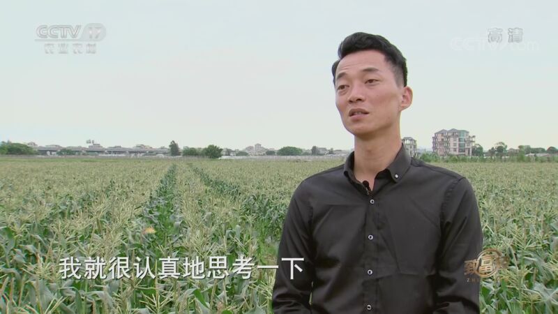 致富经 《致富经》 20200828 退伍军人的农业梦