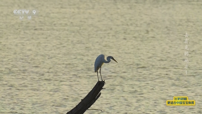 《去有光的地方》 第1集 湖泊与森林的协奏曲